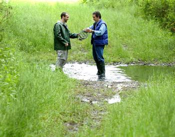 Oregon State University fisheries biologist Guillermo Giannico (r) and student Randy Colvin examine the healthy riparian ecology along fields owned by Willamette Valley grower Don Wirth.