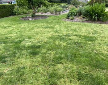 C & K Lawn Care Aerations