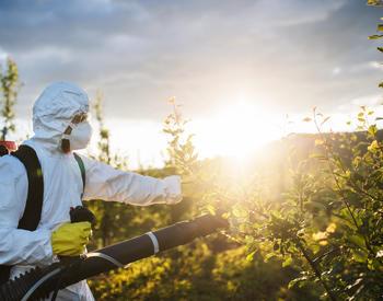 A person spraying pesticides on a field of crops.