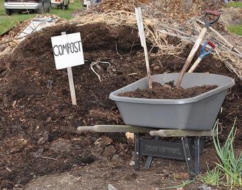 Composting with Worms  OSU Extension Service