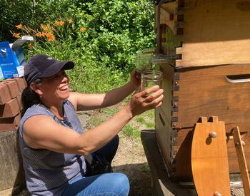 A woman is pouring honey out of a hive into a jar.