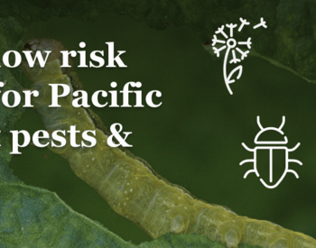 Effective, low risk solutions for Pacific Northwest pests & weeds landscape overhead