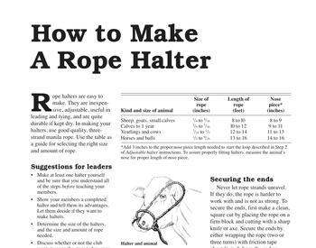 Can you teach me rope?”. Disclaimer: The information offered…