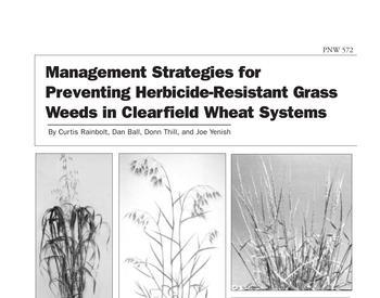 Image of Management Strategies for Preventing Herbicide-Resistant Grass Weeds in Clearfield Wheat Systems publication