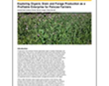 Cover image of "Exploring Organic Grain and Forage Production as a Profitable Market for Palouse Farmers"