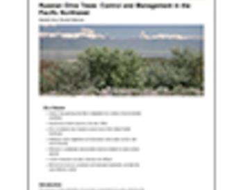 Cover image of "Russian Olive Trees: Control and Management in the Pacific Northwest" publication