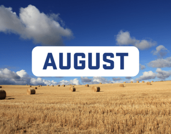 Thumbnail for August 2023 Newsletter, image of a wheat field and blue sky