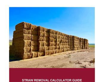 Rectangular bales of straw stacked several bales high against blue sky