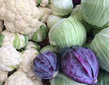 Vegetables such as cauliflower and cabbage can make it through winter.