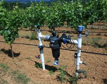 Irrigation manifold located at the end of a vineyard row.