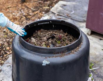 Compost inside a large plastic container.