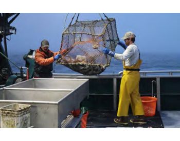 Commercial fishing, crabbing and clamming