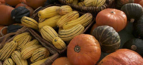 Gathering Together Farm sells squash at the farmers market in Corvallis.