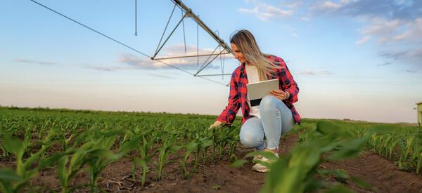 woman crouching in corn field checking soil water conditions beneath pivot irrigation system