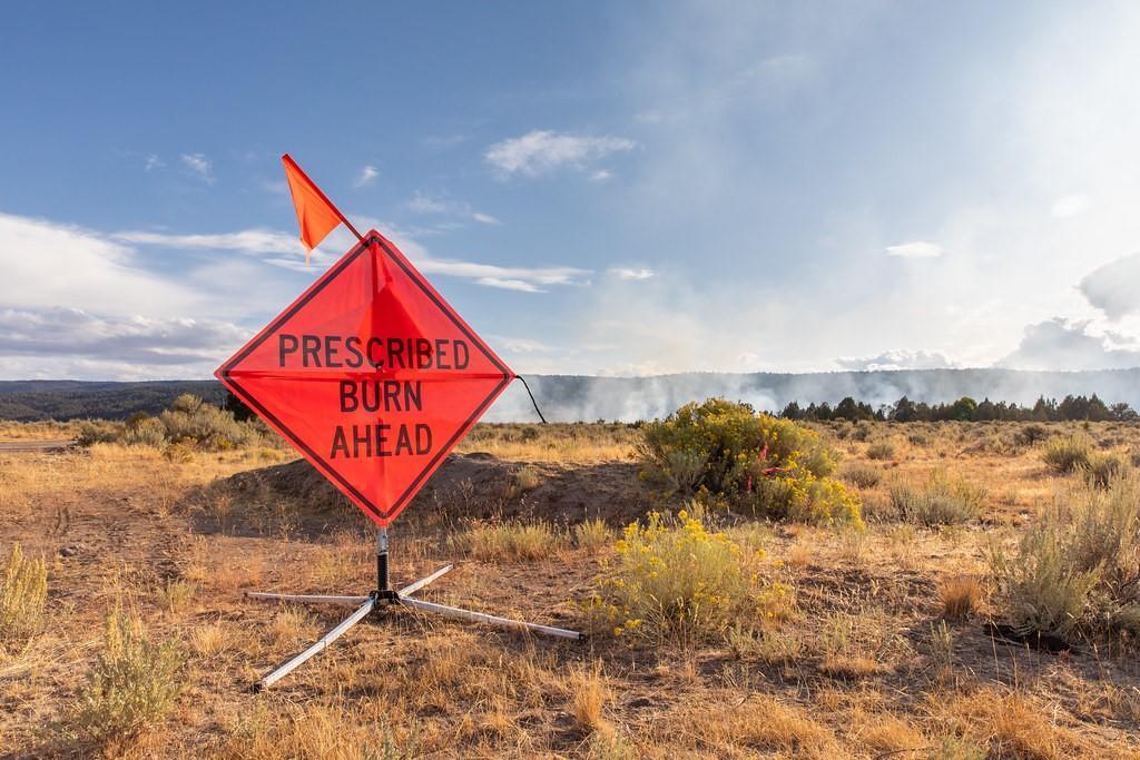 Orange road sign in open range reads "prescribed burn ahead"