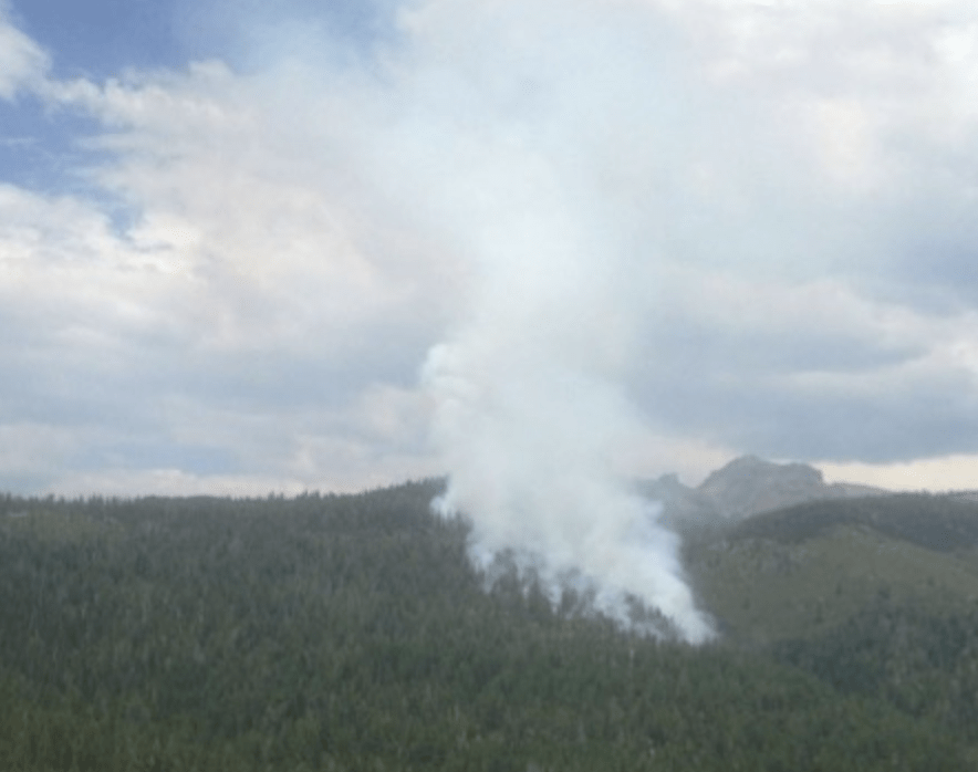 Forest with smoke rising from the trees.