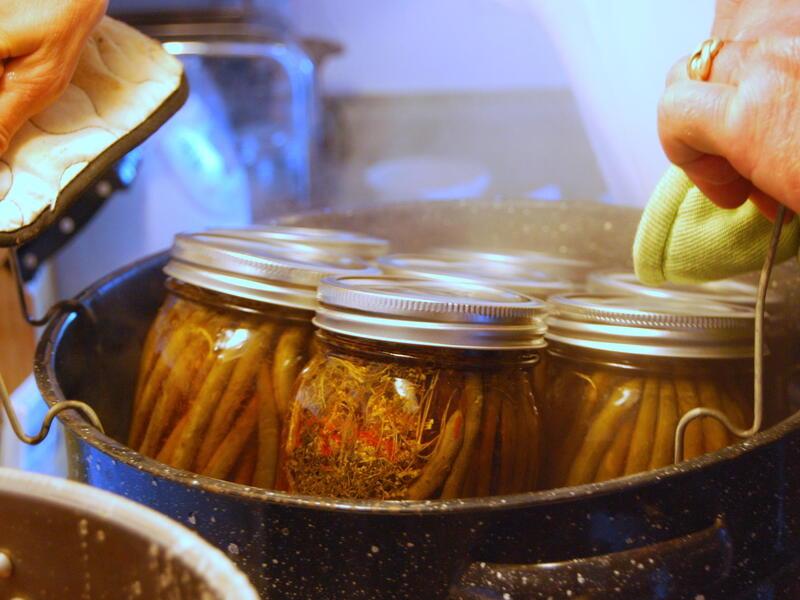 Pickling green beans in enamel canner.