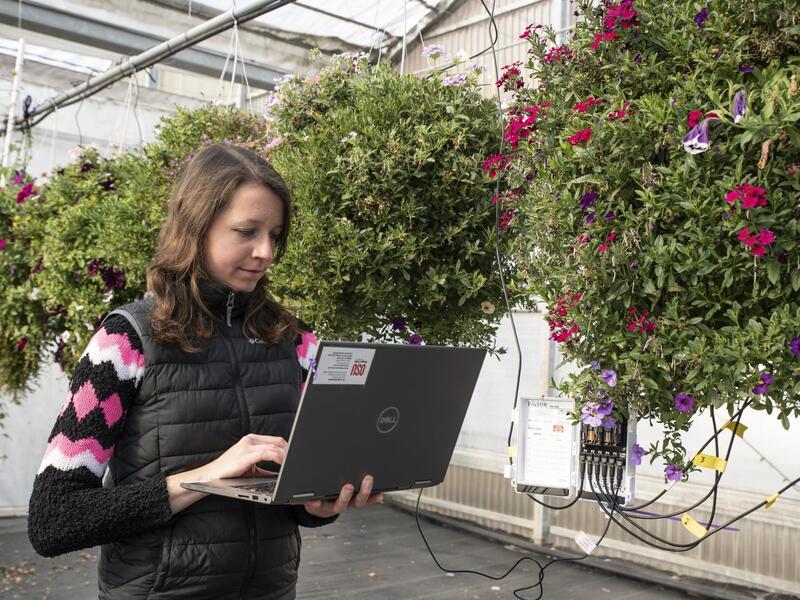 Maria Marlin, Faculty Research Assistant to Luisa Santamaria with nursery greenhouse sensors and monitors.