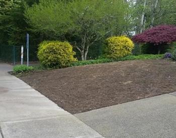 A bare mulched slope sits beside a sidewalk, bordered by shrubs and trees with spring foliage.