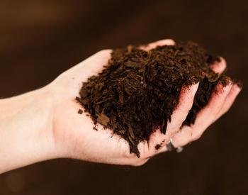 Handful of soil