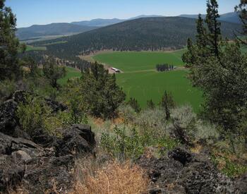 A view of Oregon landscape