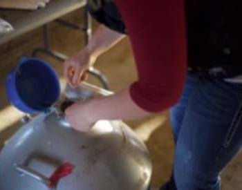artificial insemination process