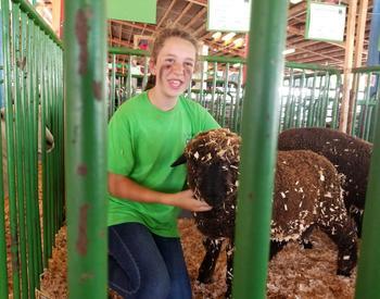 A 4-H member kneels in the sawdust beside a brown sheep, while smiling at the camera from behind a green, barred enclosure.
