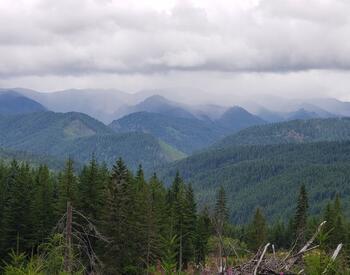 low hanging clouds and forested hills of the coastal range in Oregon