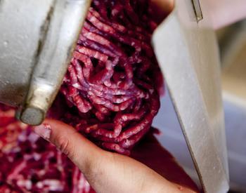 Making ground beef at the Oregon State University Clark Meat Center.
