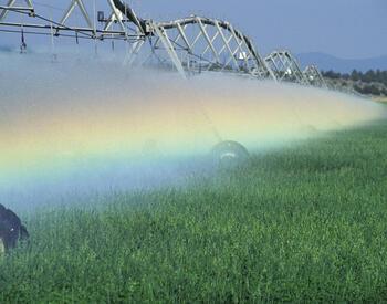 Pivot irrigation system with alfalfaA pivot irrigation system delivers water to alfalfa in Oregon's Christmas Valley.