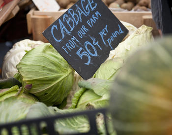 cabbage
