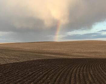 A rainbow over wheat fields in Umatilla County.