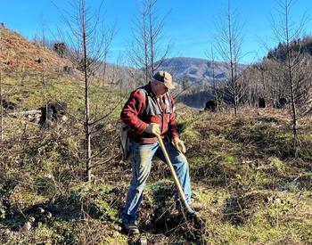 Man planting forest seedling