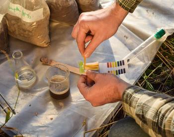 A gardener testing a sample of their soil with pH test strips and comparing the results to the included guide.