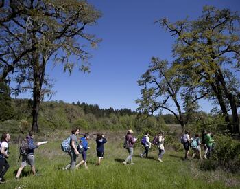 group of youth walking through forested field