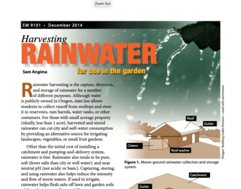 Publication cover