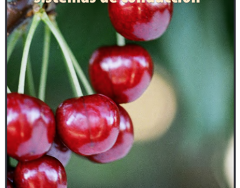 Publication cover