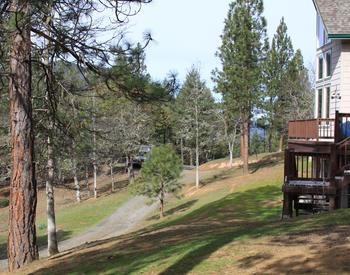 A home with sloping lawn, trees spaced farther away