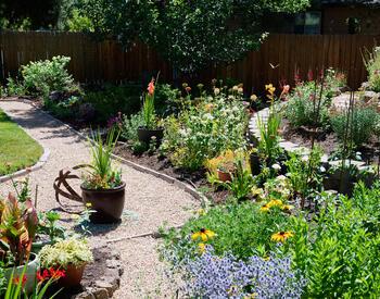 A colorful garden filled with flowers, potted plants, and a gravel pathway winds through a sunny yard bordered by a wooden fence.
