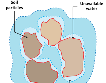 diagram of available water, gravitation water and unavailable water surrounding soil particles