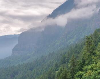 Forest ridge in Oregon