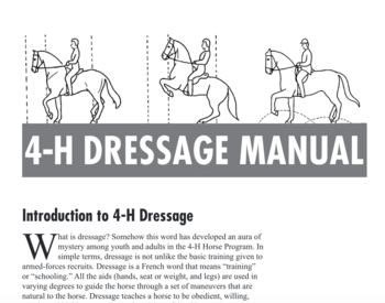 4-H Dress