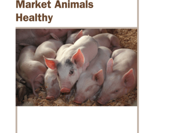 Keeping Your 4-H Market Animals Healthy