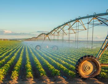 Rows of crops being watered by an irrigation system on wheels.