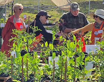 MG Volunteers at Annual Plant Sale
