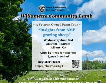 Insights to AMP Grazing Farm Tour Flyer