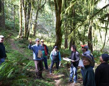A group of participants stands among ferns and moss-covered trees during a forestry tour as Jake Barker points into the forest and explains climate-informed management strategies.