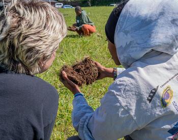 Two participants examine a clump of soil and grass during an outdoor workshop, closely observing the roots and soil structure in a grassy field.