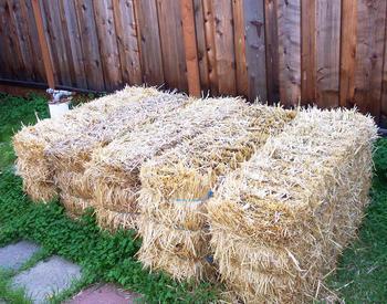 Four straw bales are lined up on grass with a fence in the background.