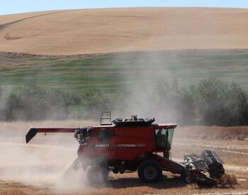 wheat combine in field